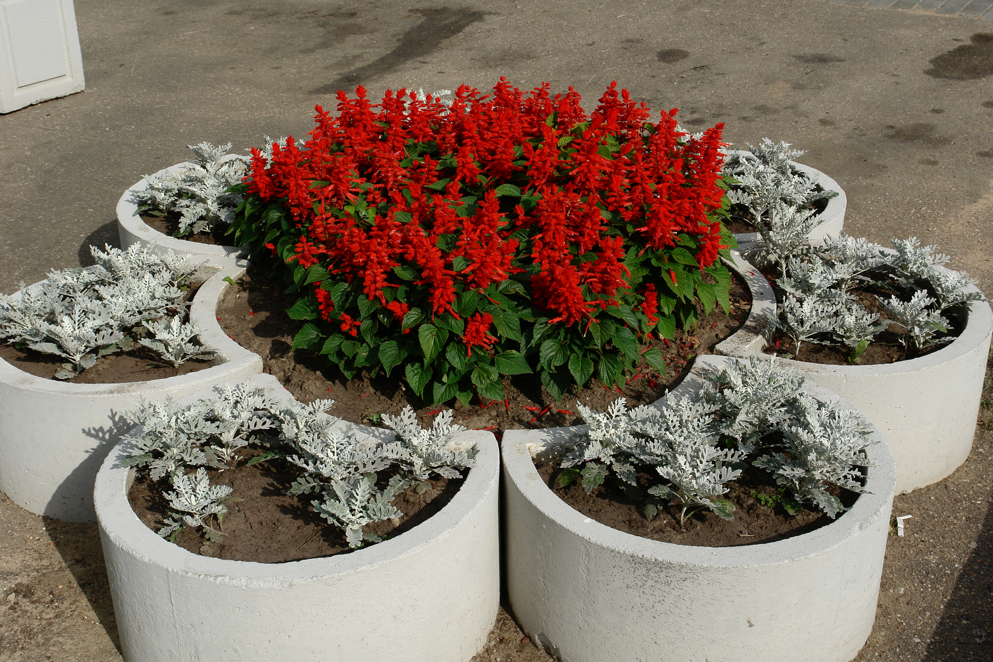 Kako so mi cvetlična korita polepšala balkon